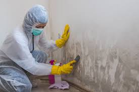 Best Mold Removal for HVAC Installations  in Clarksburg, WV